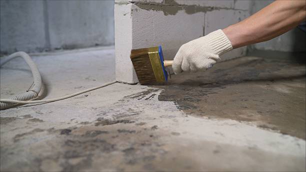24/7 Emergency Crawl Space Encapsulation experts in Nazareth, MI